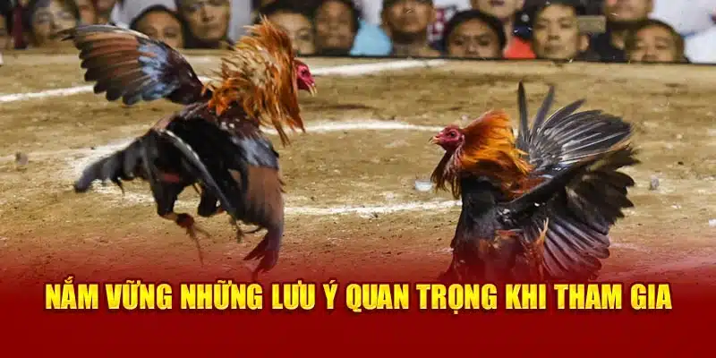 Nắm bắt những điểm quan trọng cần lưu ý khi tham gia