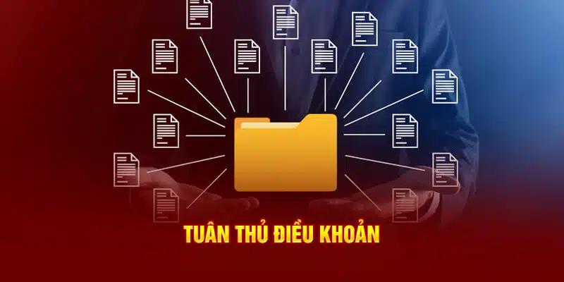 Tuân thủ điều khoản