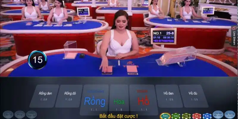 Luật chơi casino rồng hổ cơ bản 